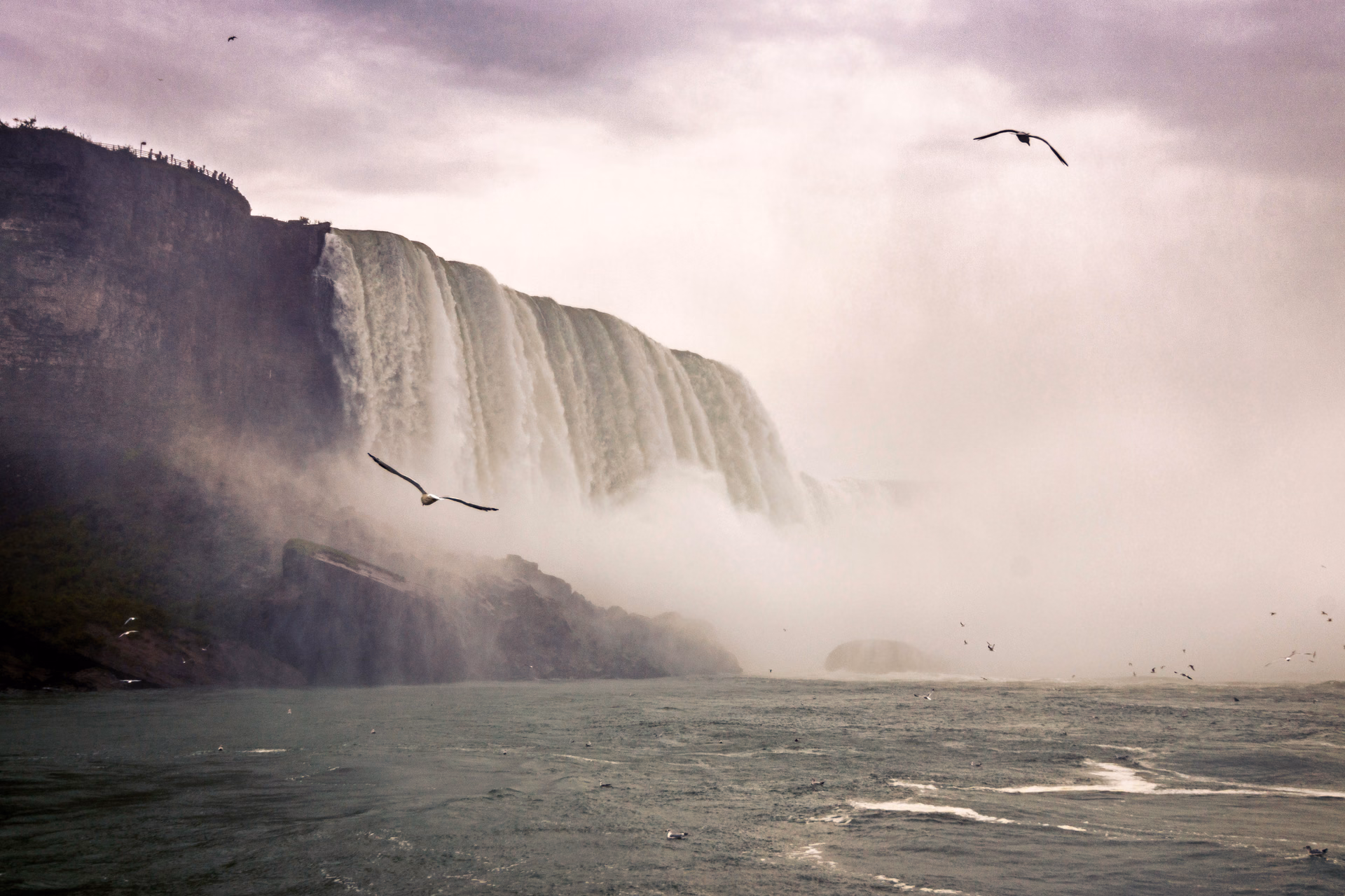 Niagara Falls almost hidden by its own spray, with birds flying over the river